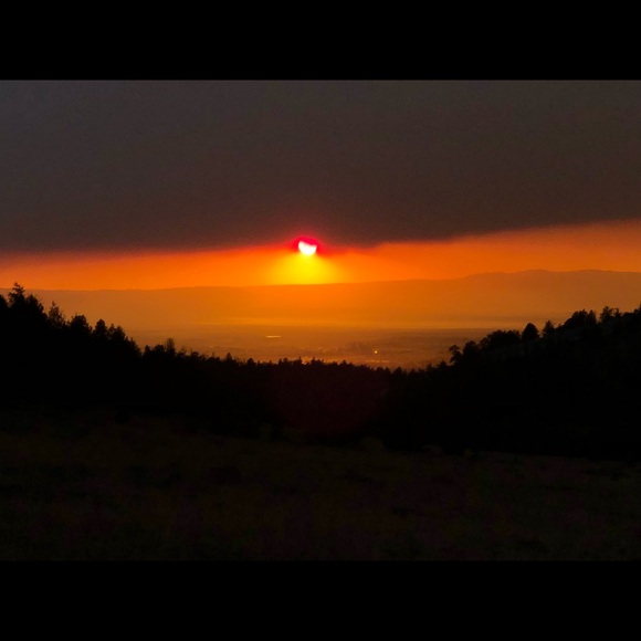 Meet your Posher, Tammy - Picture 1 of 1